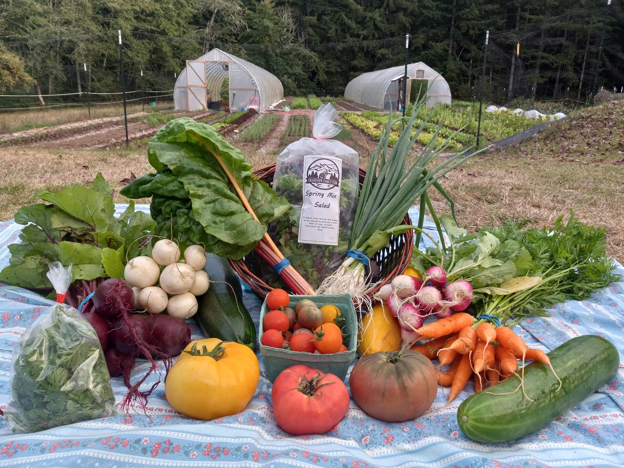2048x1536 Shop Snohomish County's Farmers Markets in 2022