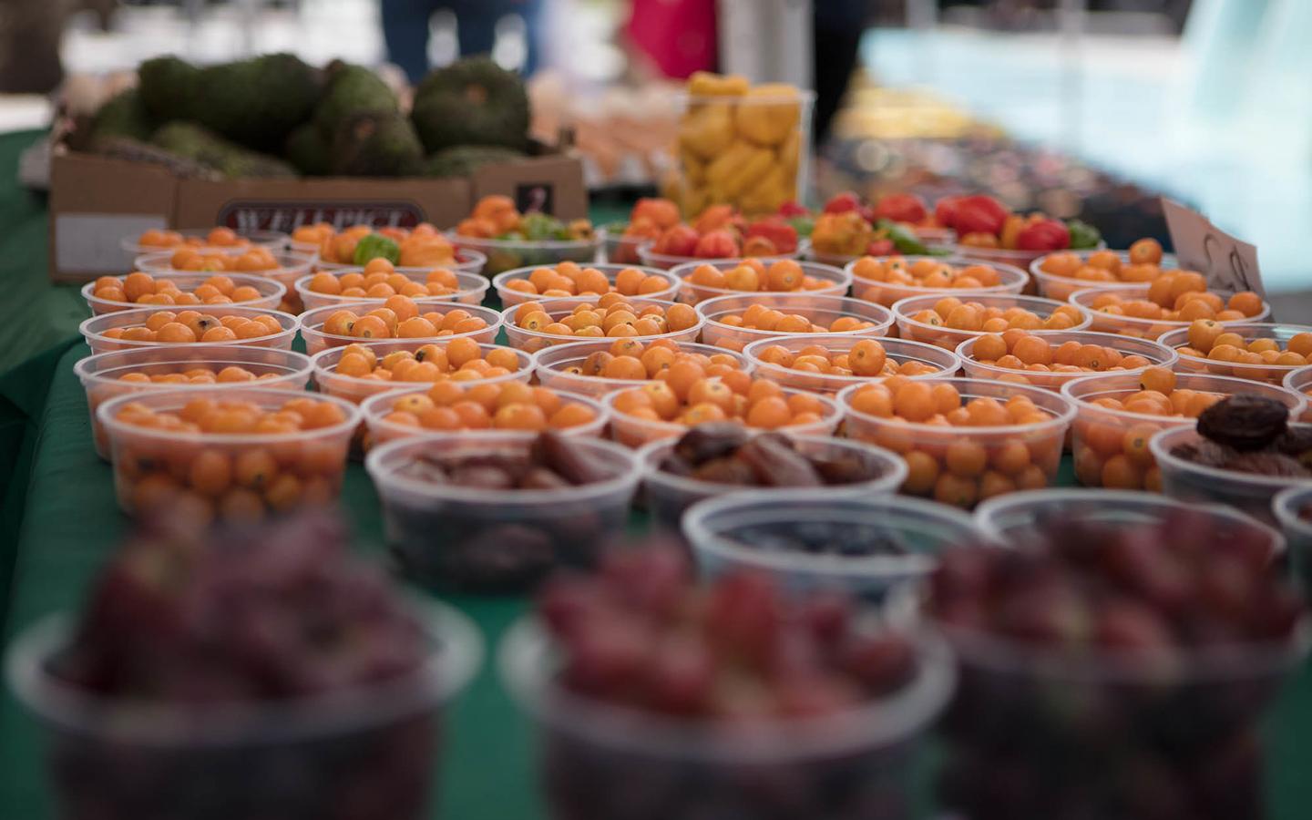 1440x900 Best Farmers Markets In Miami. Greater Miami & Miami Beach