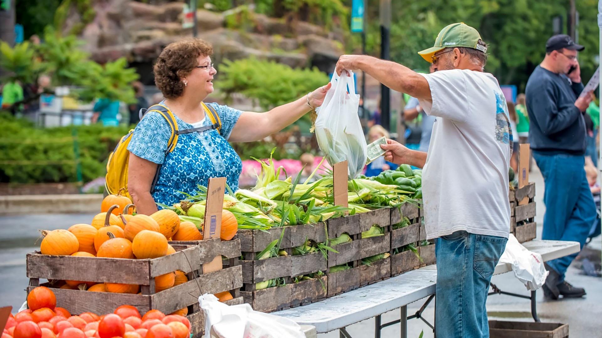 Farmer’s Market Wallpapers - Top Free Farmer’s Market Backgrounds