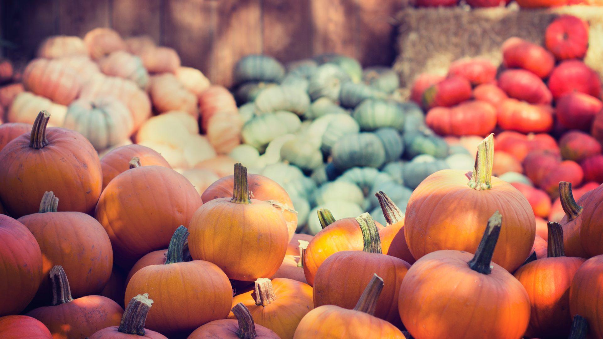 1920x1080 Carnation Farmers Market