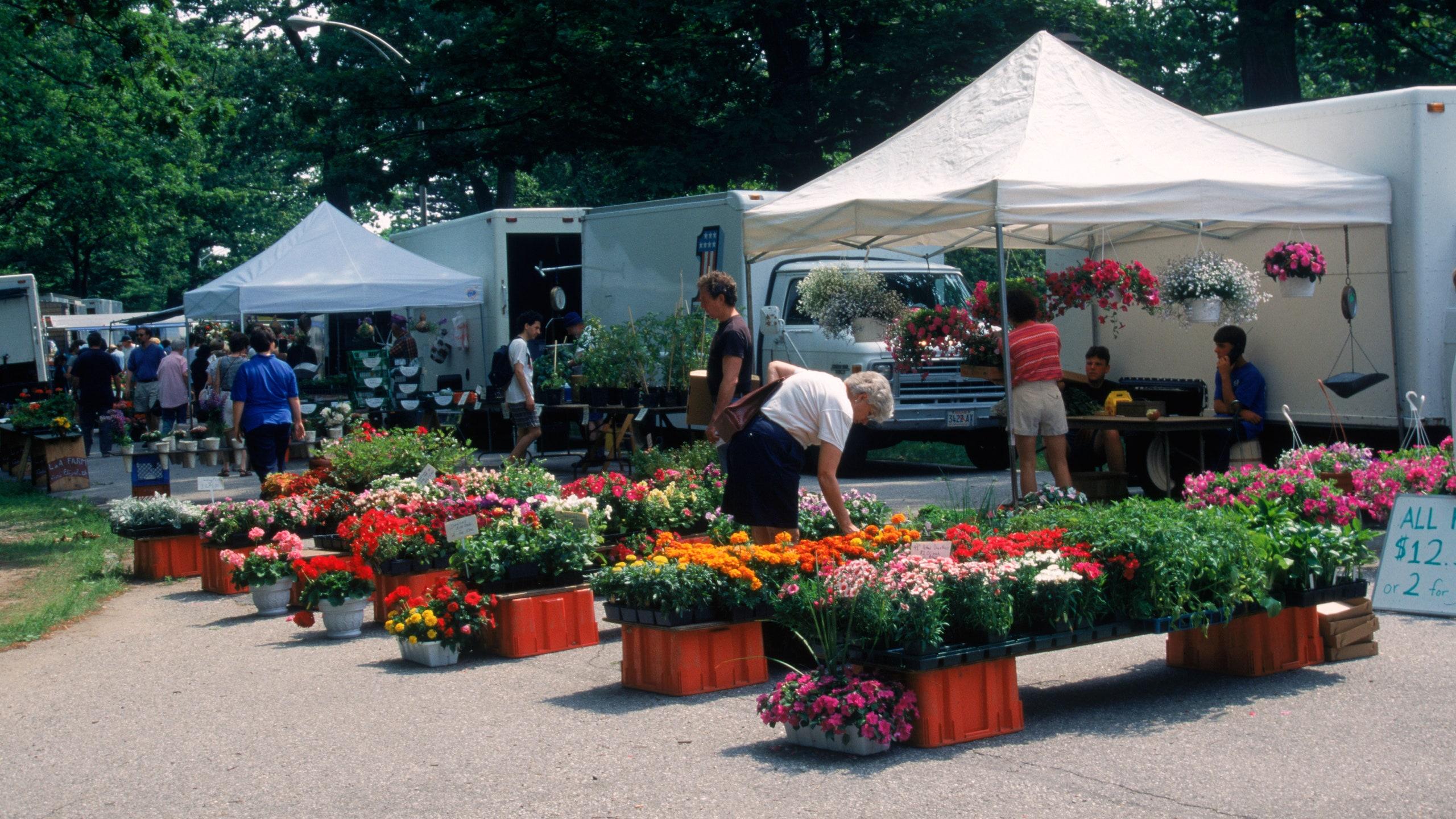 2560x1440 Portland Farmers' Market