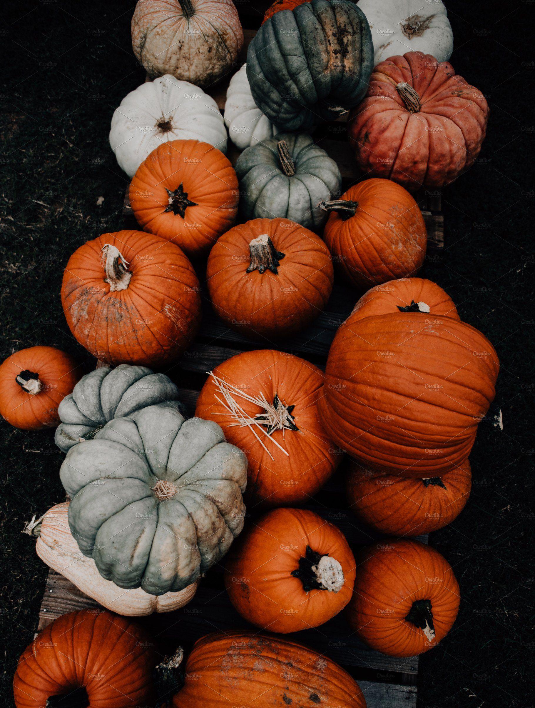 1820x2407 Fall pumpkin patch farmers market containing fall colors, fall foods, and. iPhone wallpaper fall, Pumpkin wallpaper, Fall wallpaper