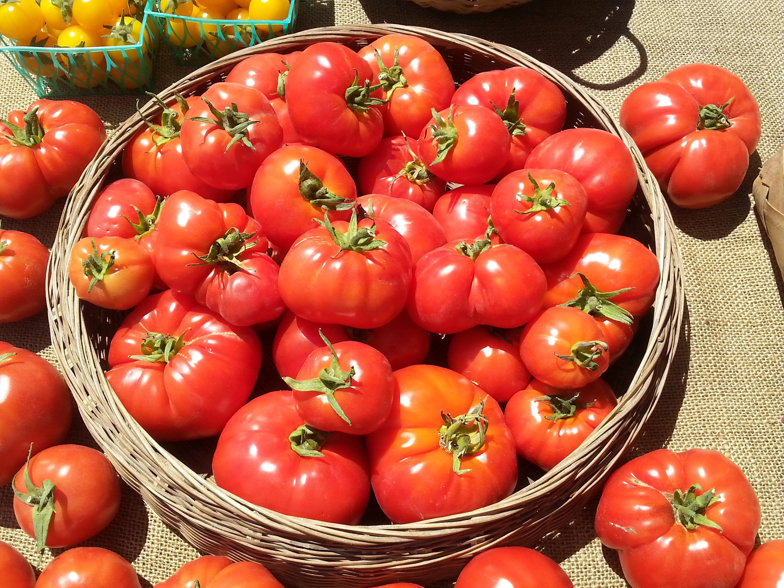 3000x2250 Fortuna Farmers Market
