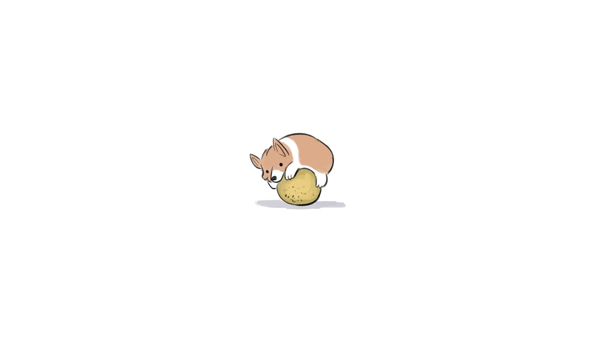 1900x1080 animals, minimalism, humor, artwork, white background, logo, cartoon, dog, Corgi, Pembroke Welsh Corgis, hand, finger Gallery HD Wallpaper