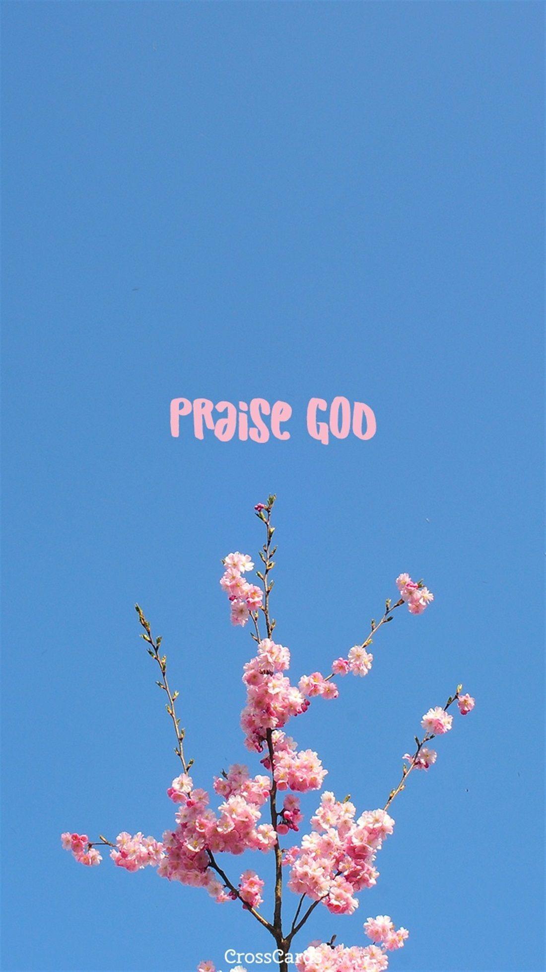 1100x1956 Praising God Wallpaper