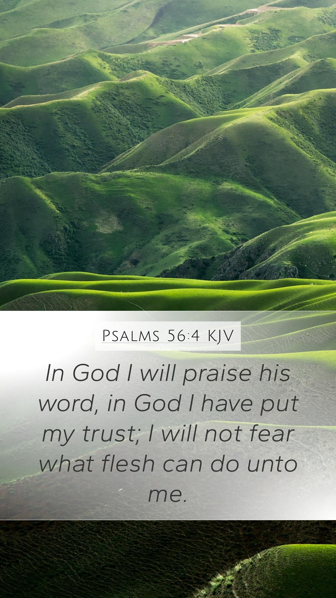1080x1920 Psalms 56:4 KJV Mobile Phone Wallpaper God I will praise his word, in God I have put