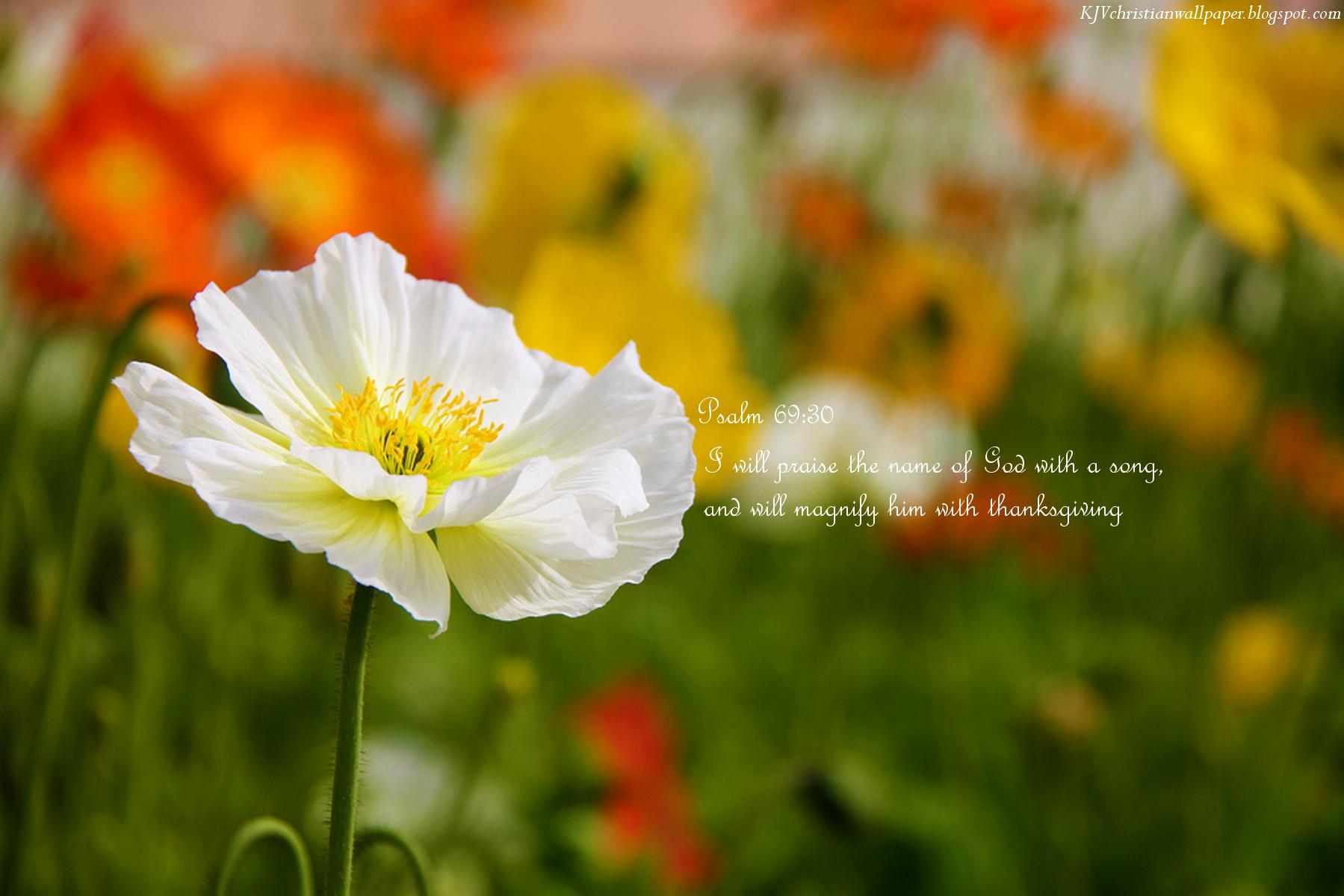 1799x1200 Free download Praise Gods Name Wallpaper Christian Wallpaper and Background [1799x1200] for your Desktop, Mobile & Tablet. Explore Names of God Wallpaper. Lamb Of God Wallpaper, Wallpaper Of God