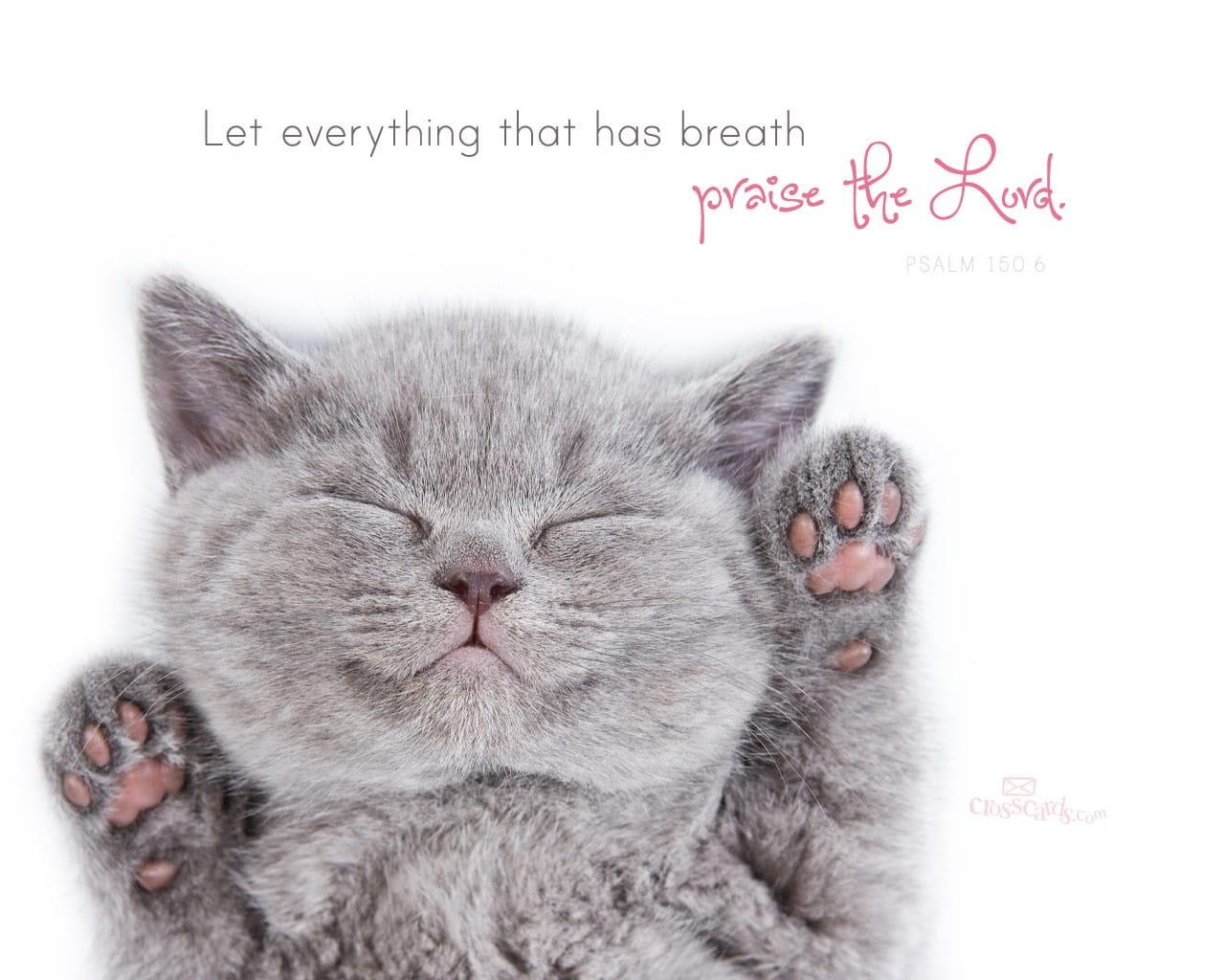 1280x1024 Praise the Lord Desktop Wallpaper Animals Background