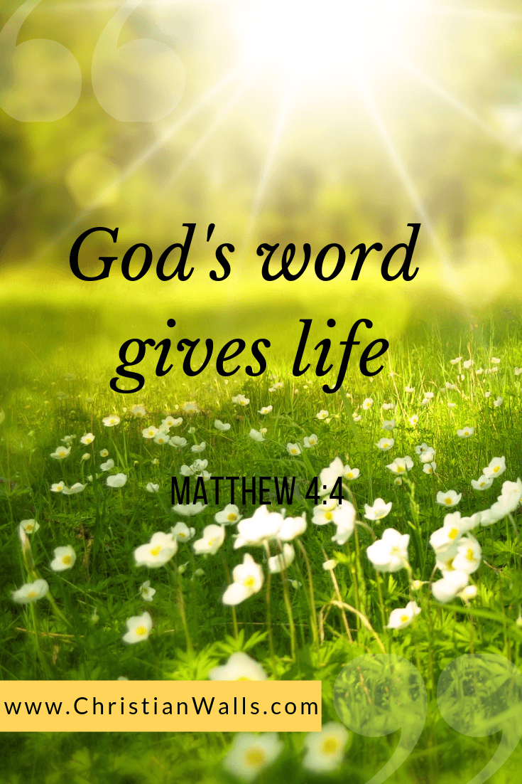 735x1102 Bible Verses & Christian Quotes about Praise (Must Know)