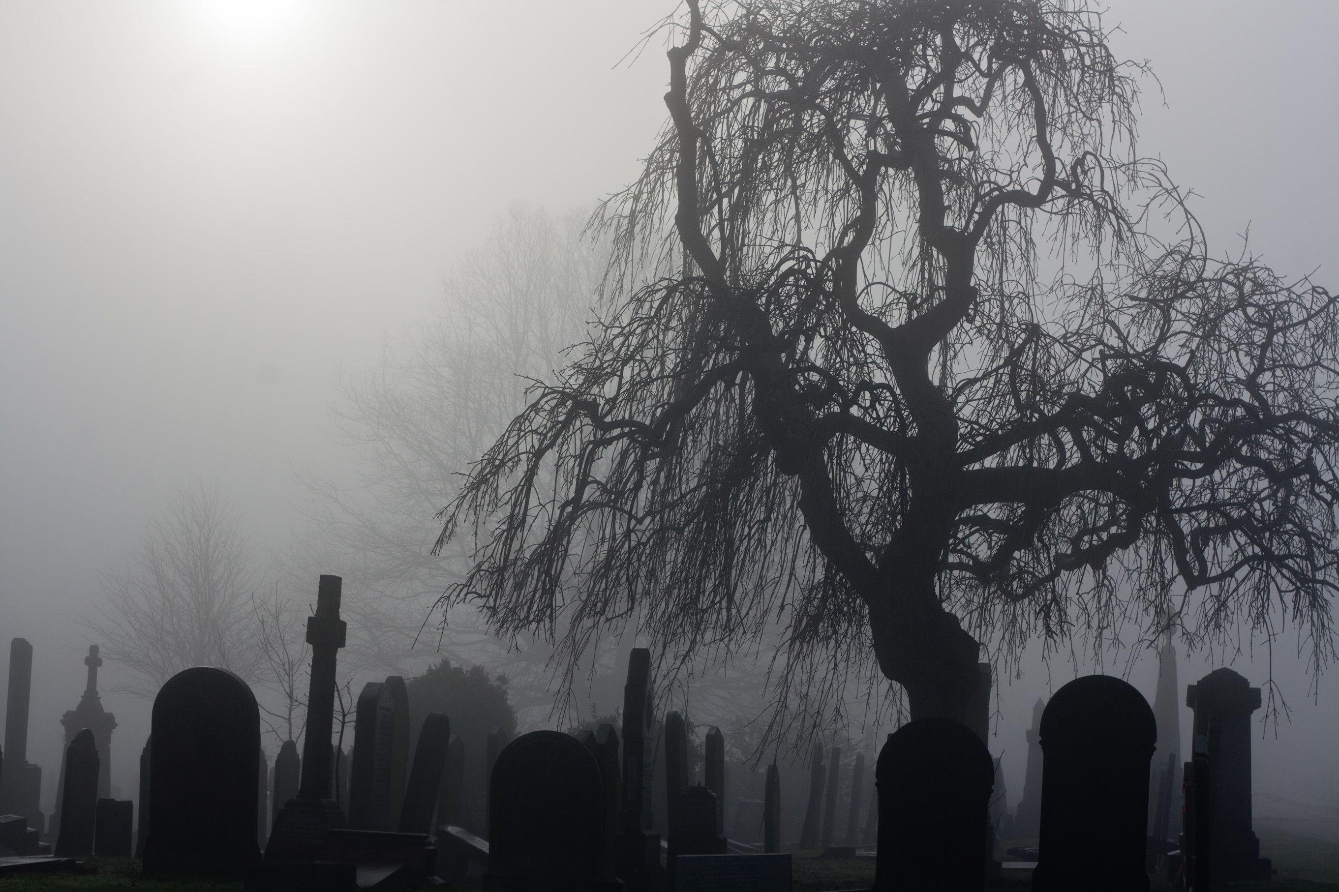 2722x1814 4K Graveyard Wallpaper