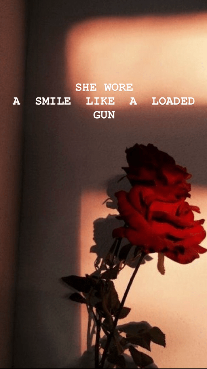 719x1280 Red Flower Aesthetic Photography