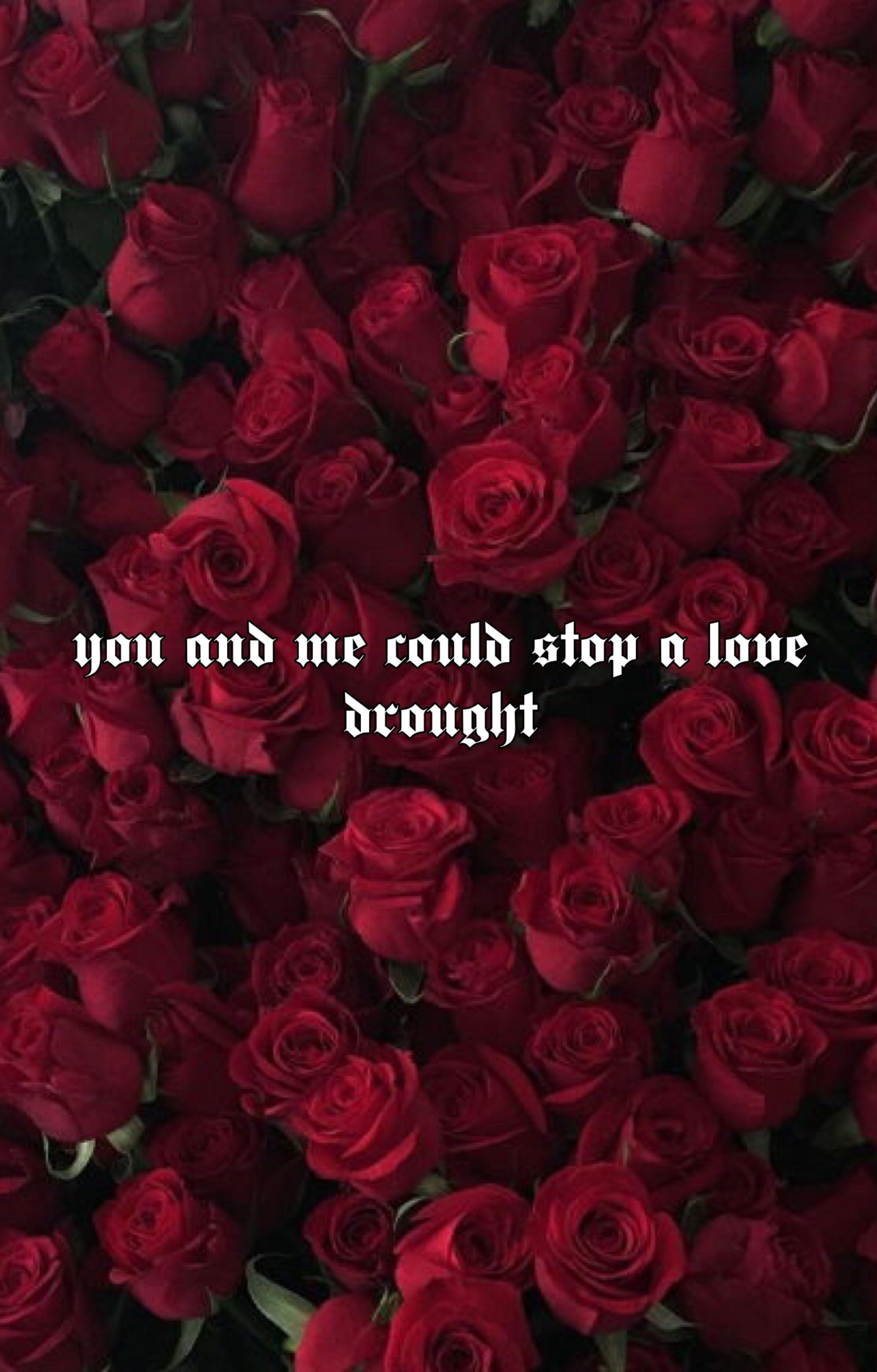 2484x3888 Red Roses Aesthetic Wallpaper