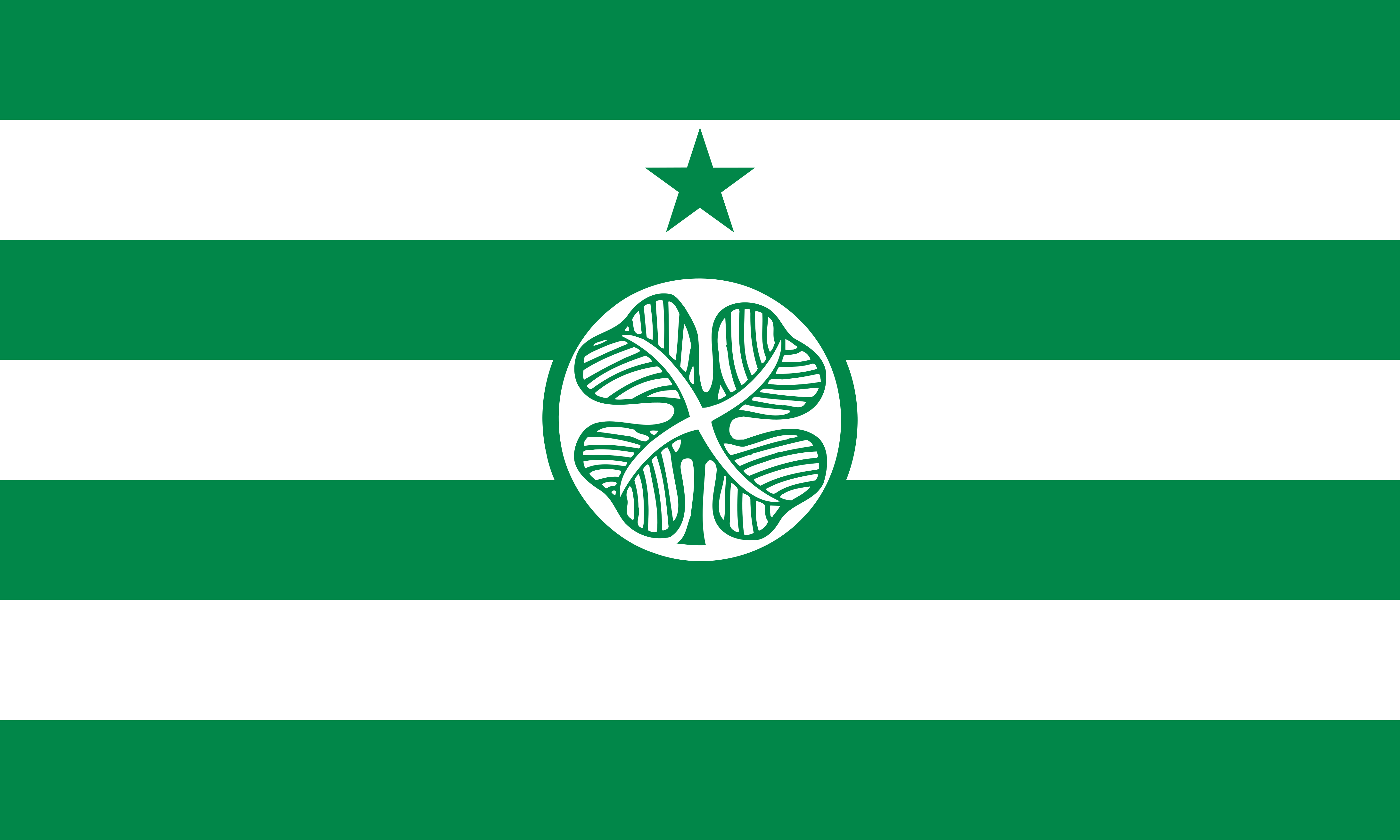 4370x2622 Celtic F.C. HD Wallpaper and Background