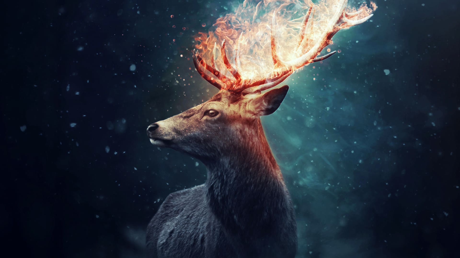 1920x1080 Cool HD Wallpaper Best Ultra HD Cool Background
