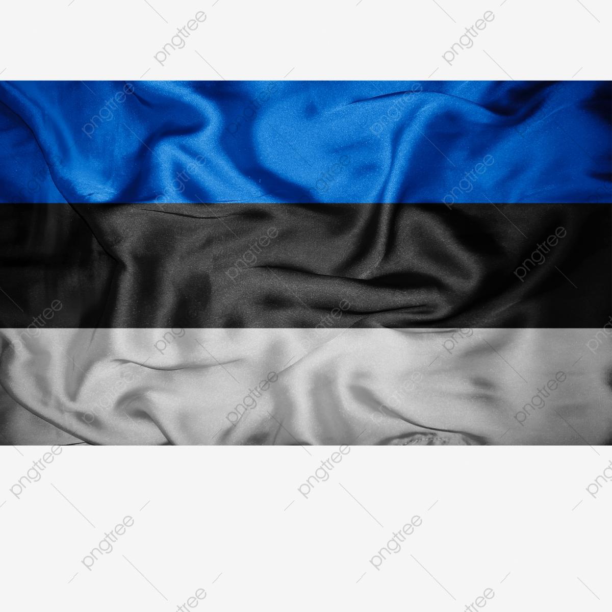 1200x1200 Estonia Flag White Transparent, Estonia Flag Transparent With Fabric, Estonia, Estonia Flag, Estonia Flag Vector PNG Image For Free Download