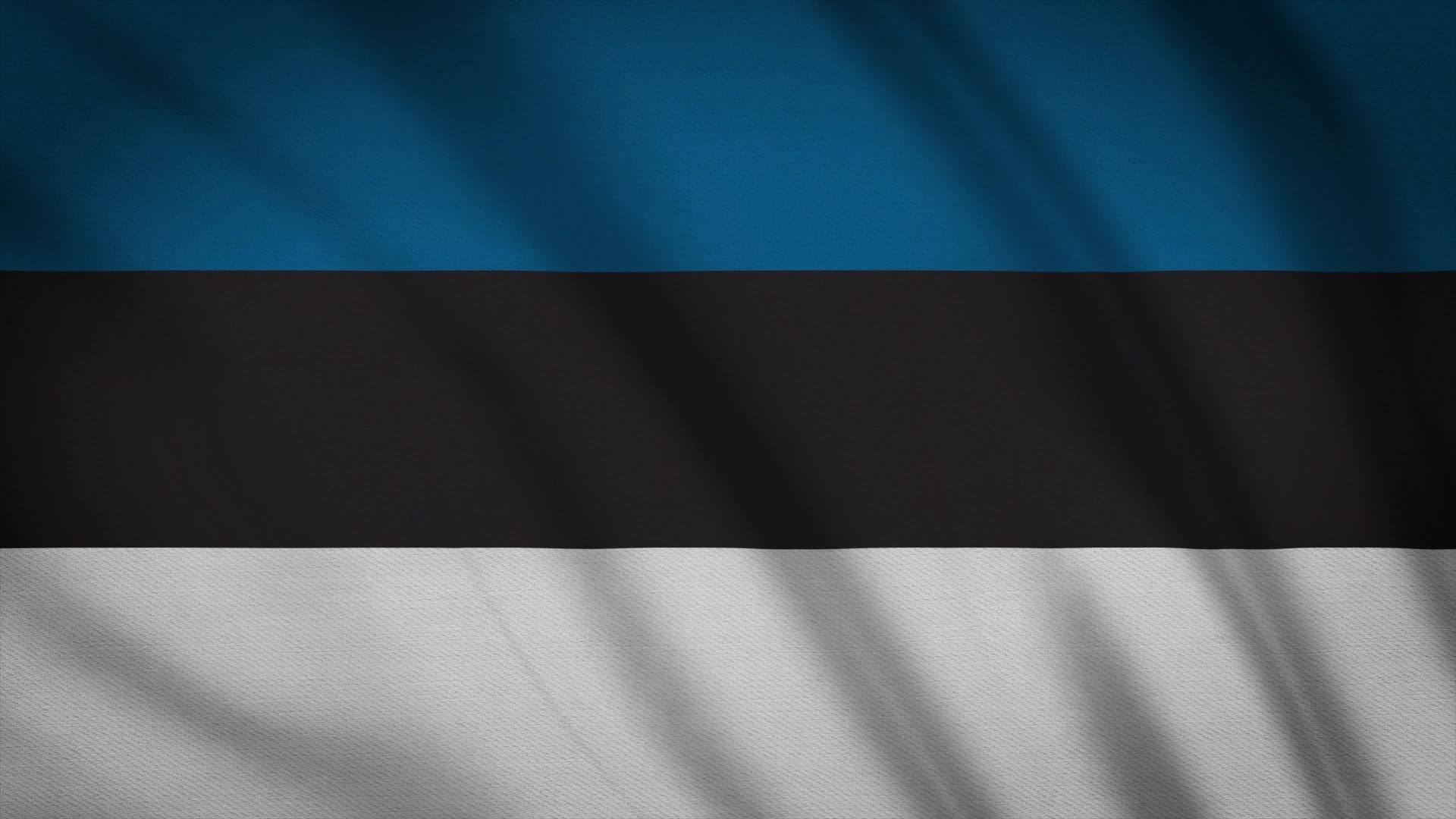 1920x1080 Estonia Flag HD Video Clips & Stock Video Footage at Videezy!