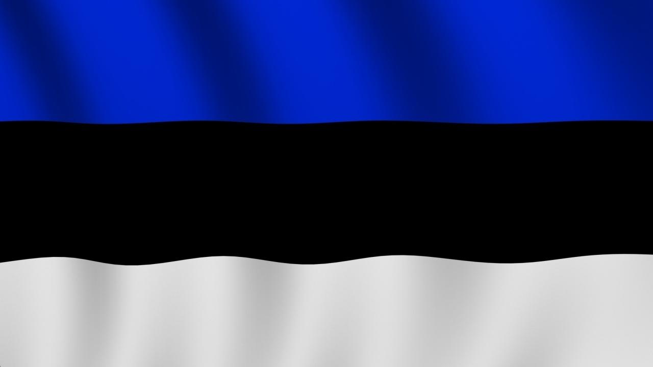 1280x720 Estonia Flag Wallpaper