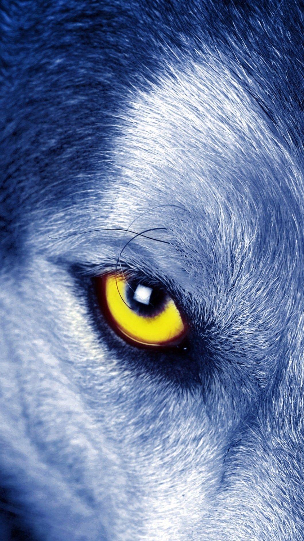1060x1884 Wolf HD Wallpaper iPhone , Download 4K Wallpaper For Free