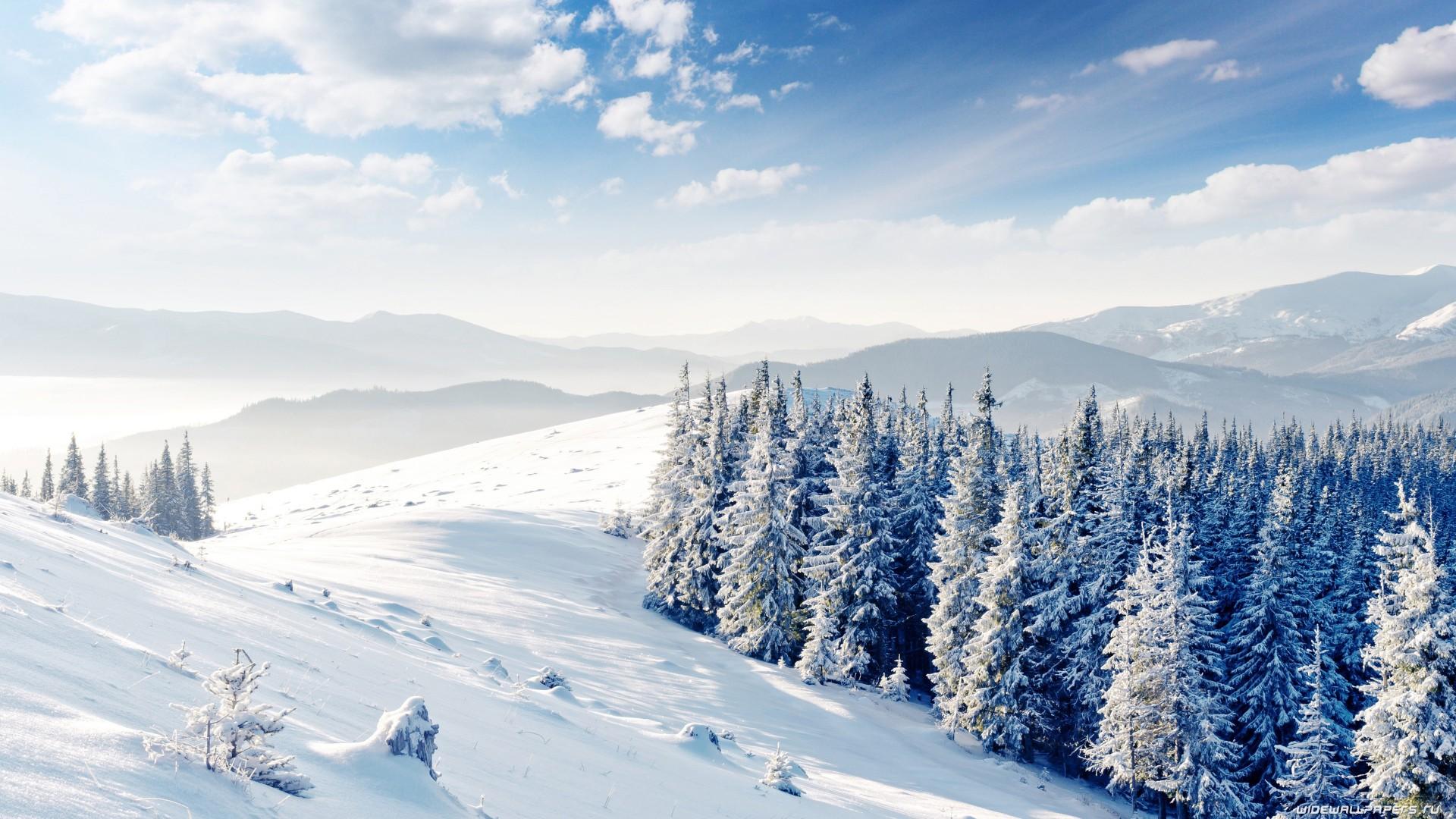 1920x1080 Wallpaper mountains, forest, trees, snow, winter, 4k, Nature