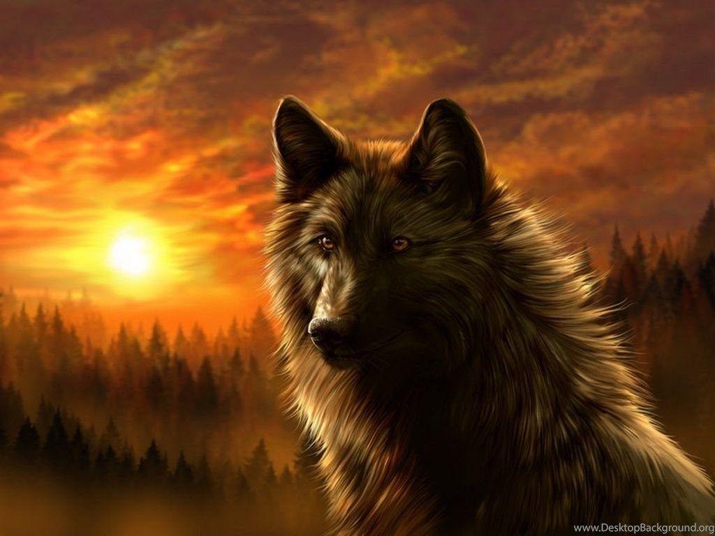 1024x768 Cool Animal Wallpaper Wolf Desktop Background