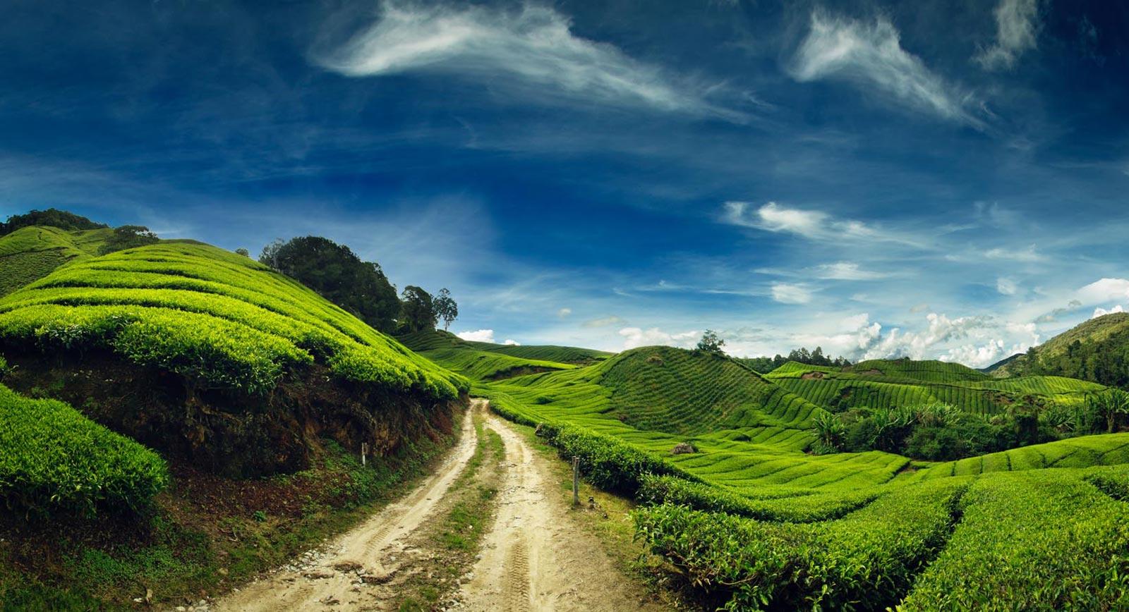 Cameron Highlands Wallpapers - Top Free Cameron Highlands Backgrounds