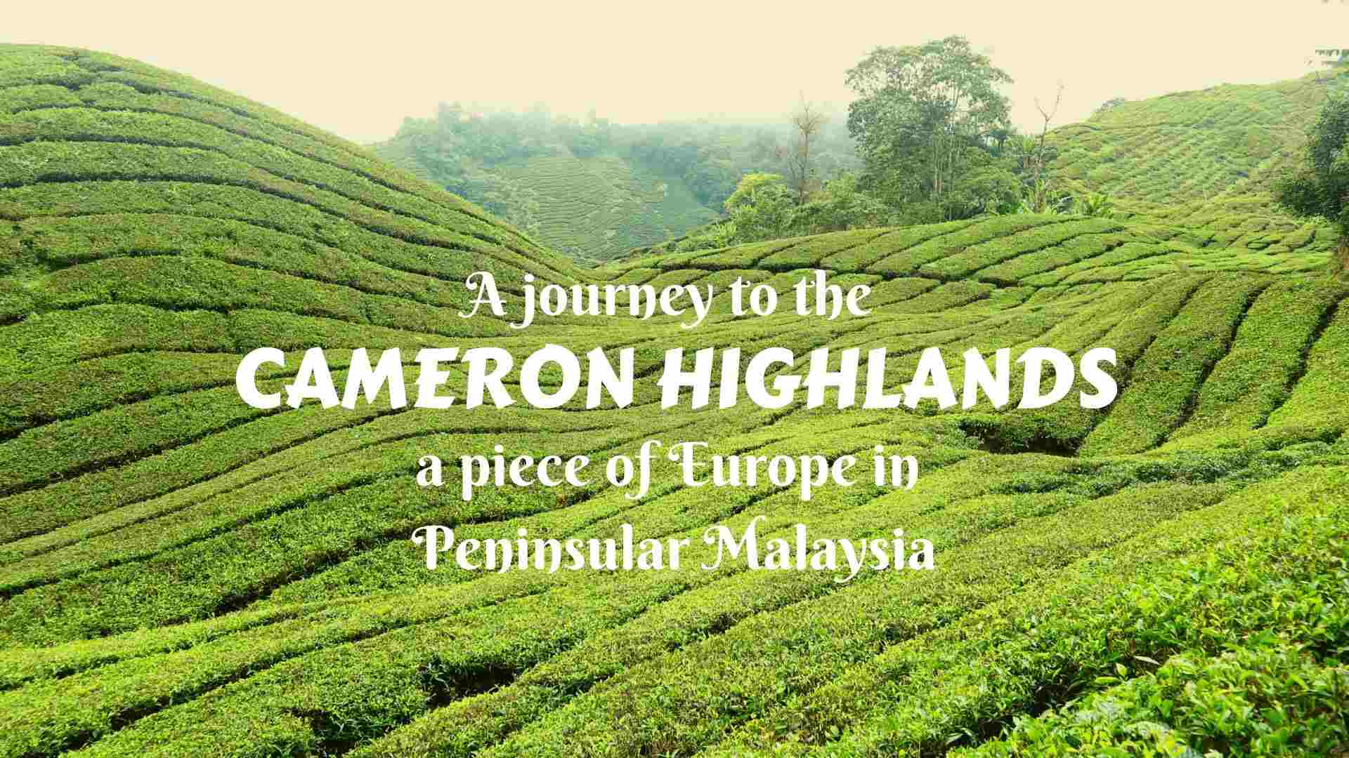 1920x1080 A journey to the Cameron Highlands, Peninsular Malaysia