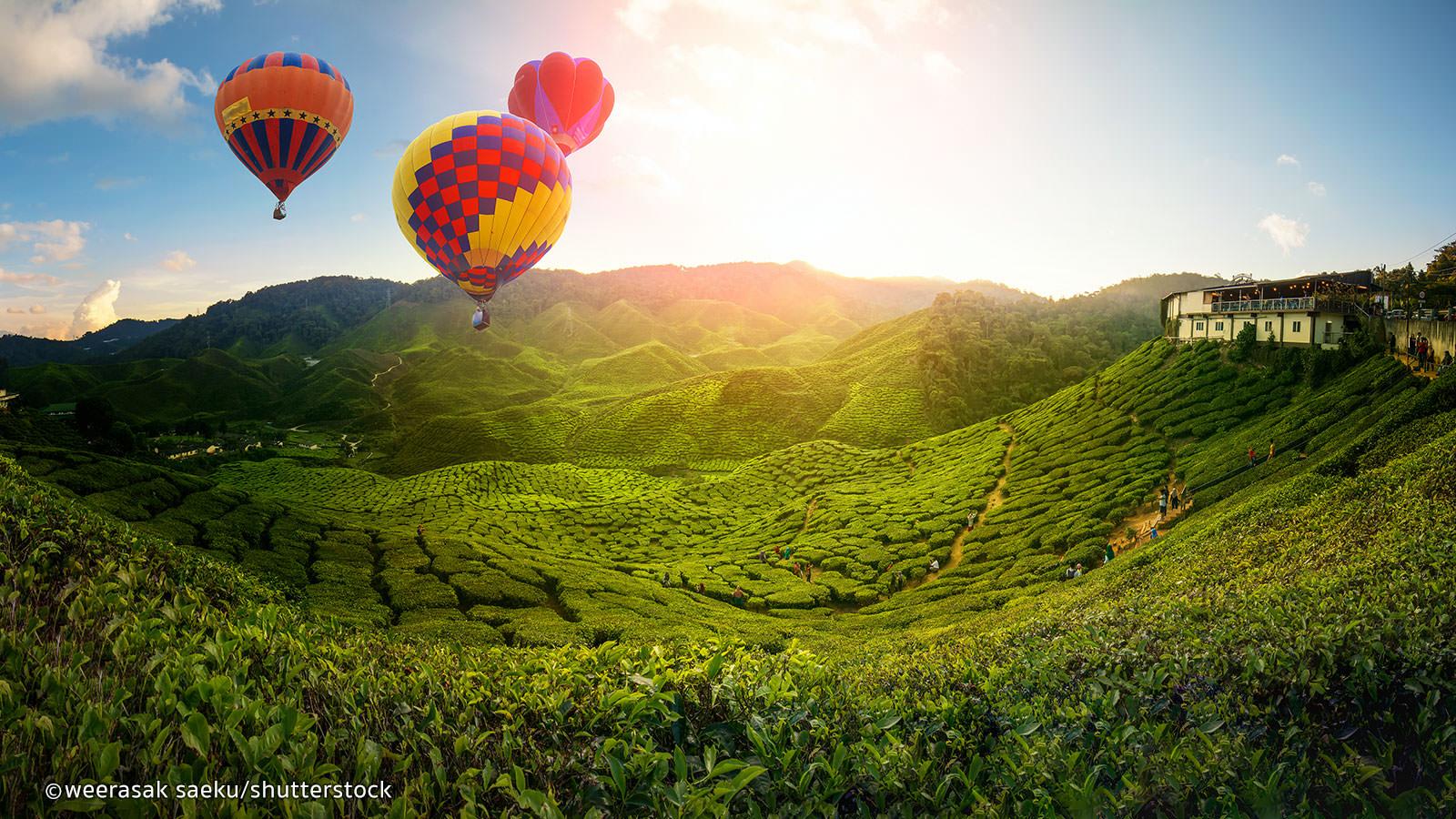 1600x900 Cameron Highlands, Malaysia.. Malaysia