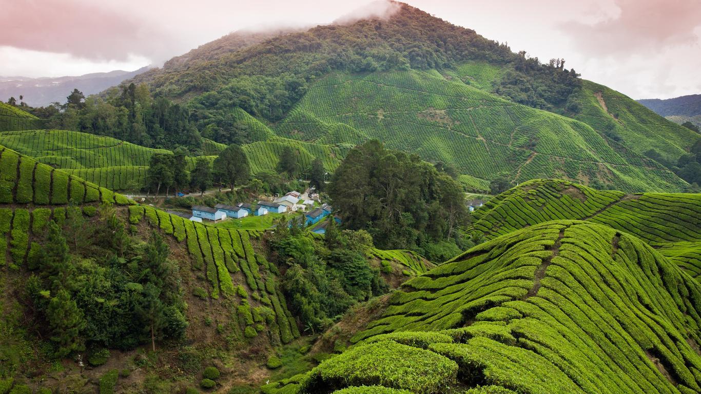 1366x768 Best Hotels In Brinchang. Hotels From $7 Night