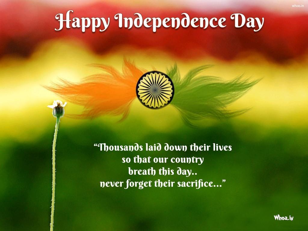 1024x768 Happy Independence Day Colorful HD Wallpaper