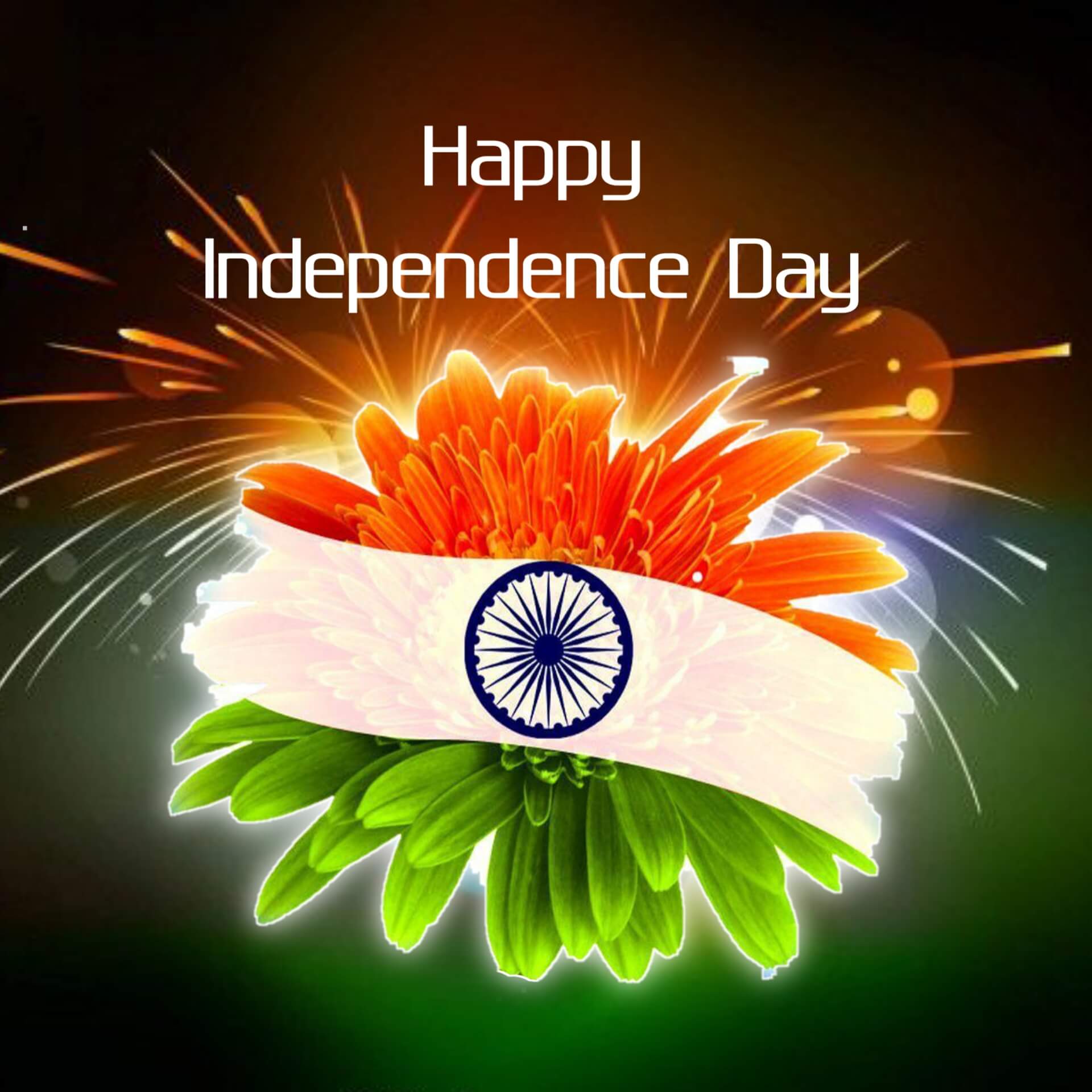1920x1920 Independence Day Wallpaper