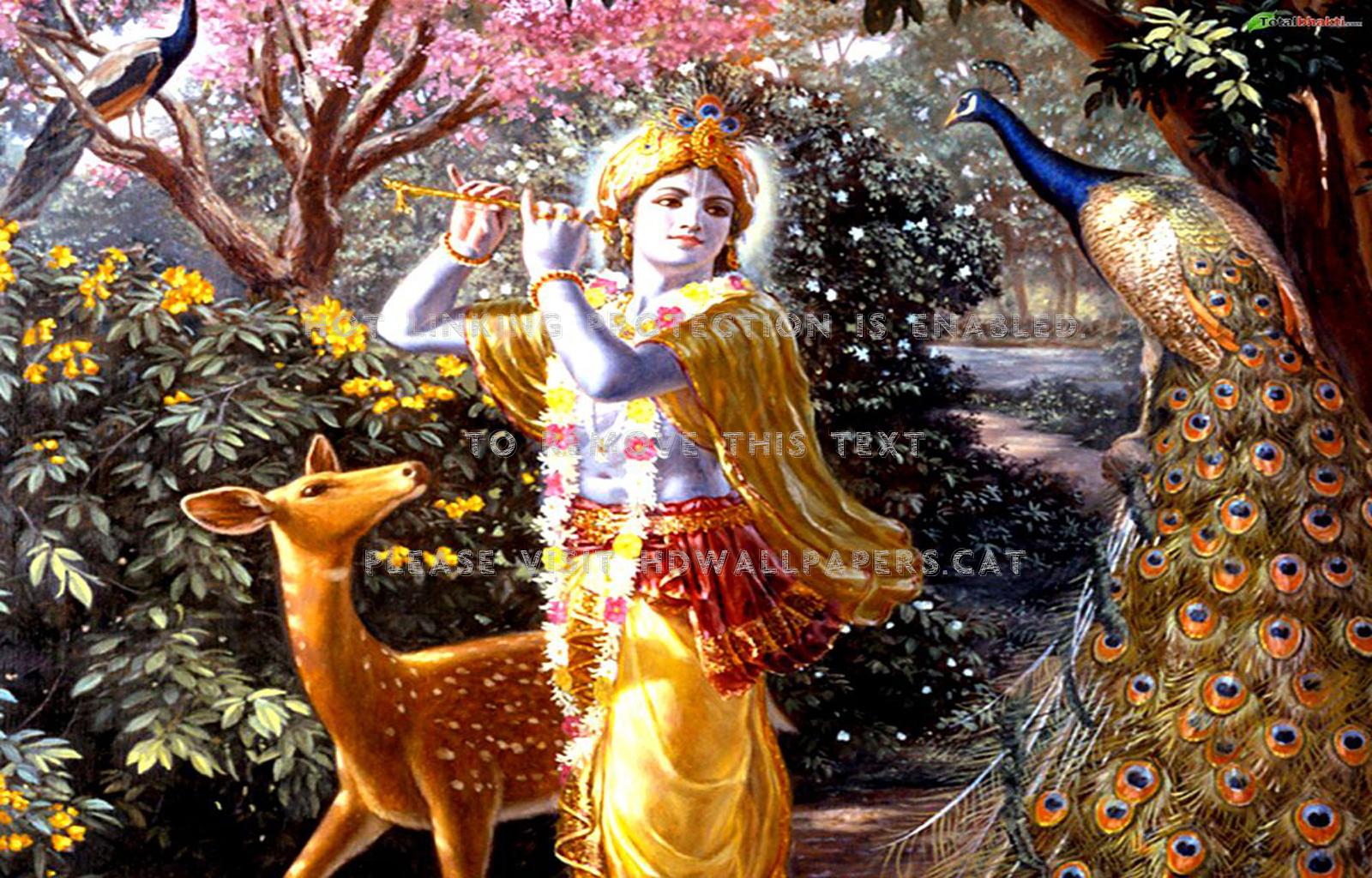 1600x1024 Krishna Vishnu Hare Rama Lord Hinduism God Wallpaper For Desktop