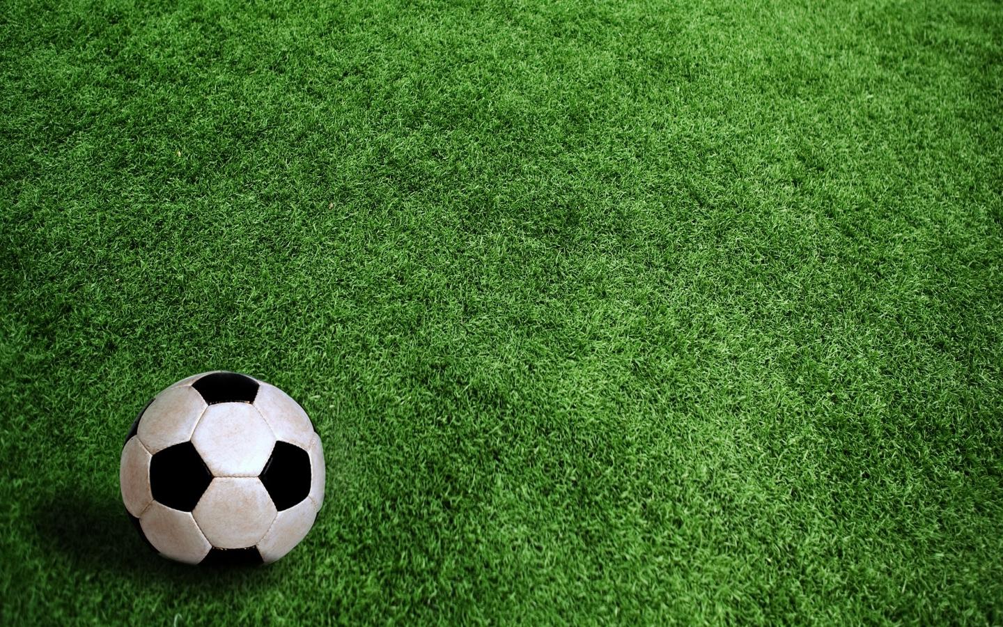 1440x900 Soccer ball on grass Desktop wallpaper 1440x900