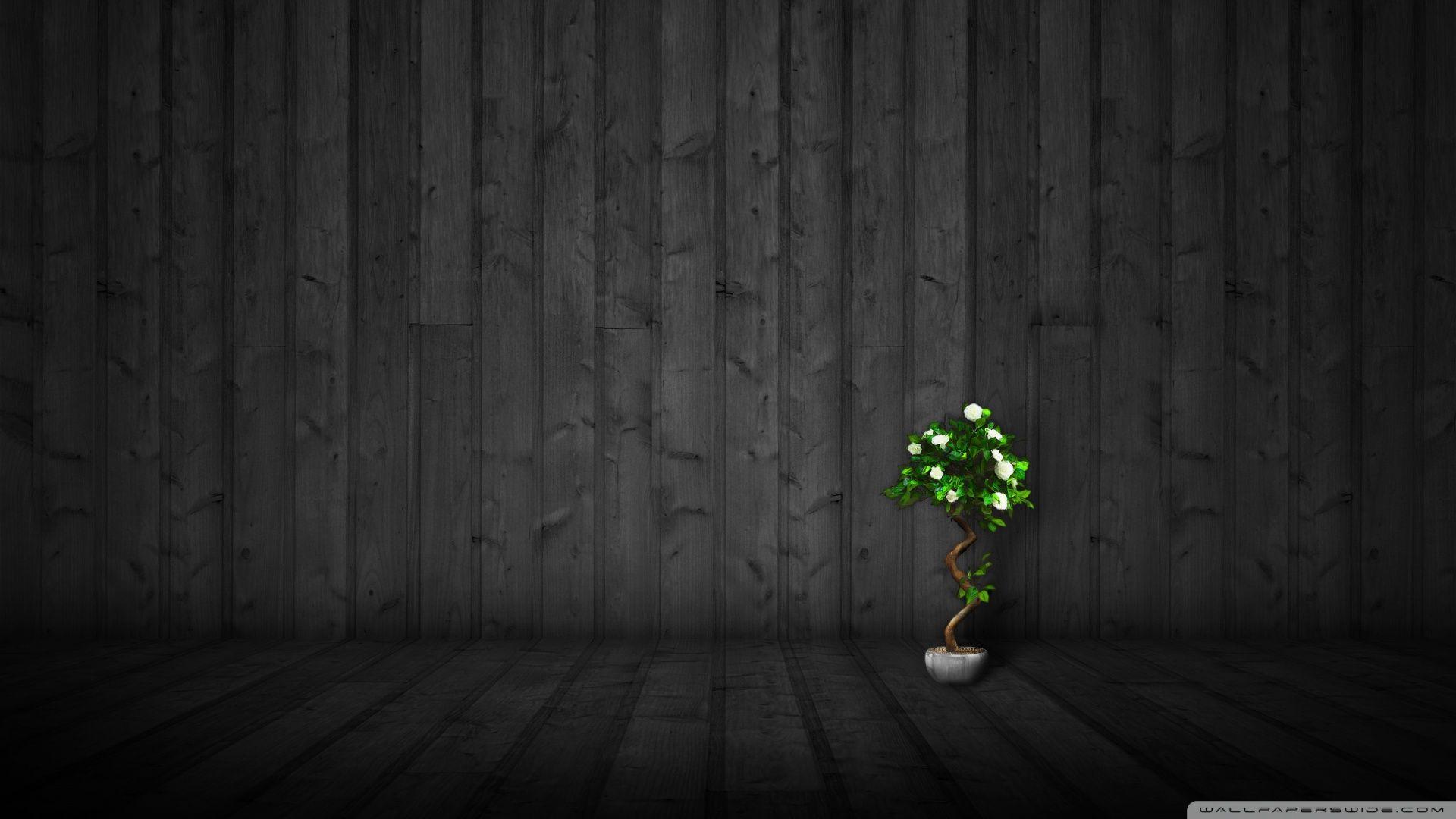 1920x1080 Download Bonsai Wallpaper 1920x1080