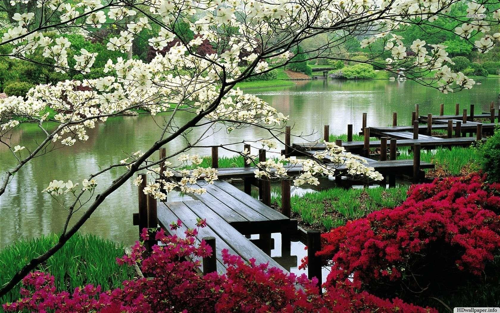 Bonsai Garden Wallpaper
