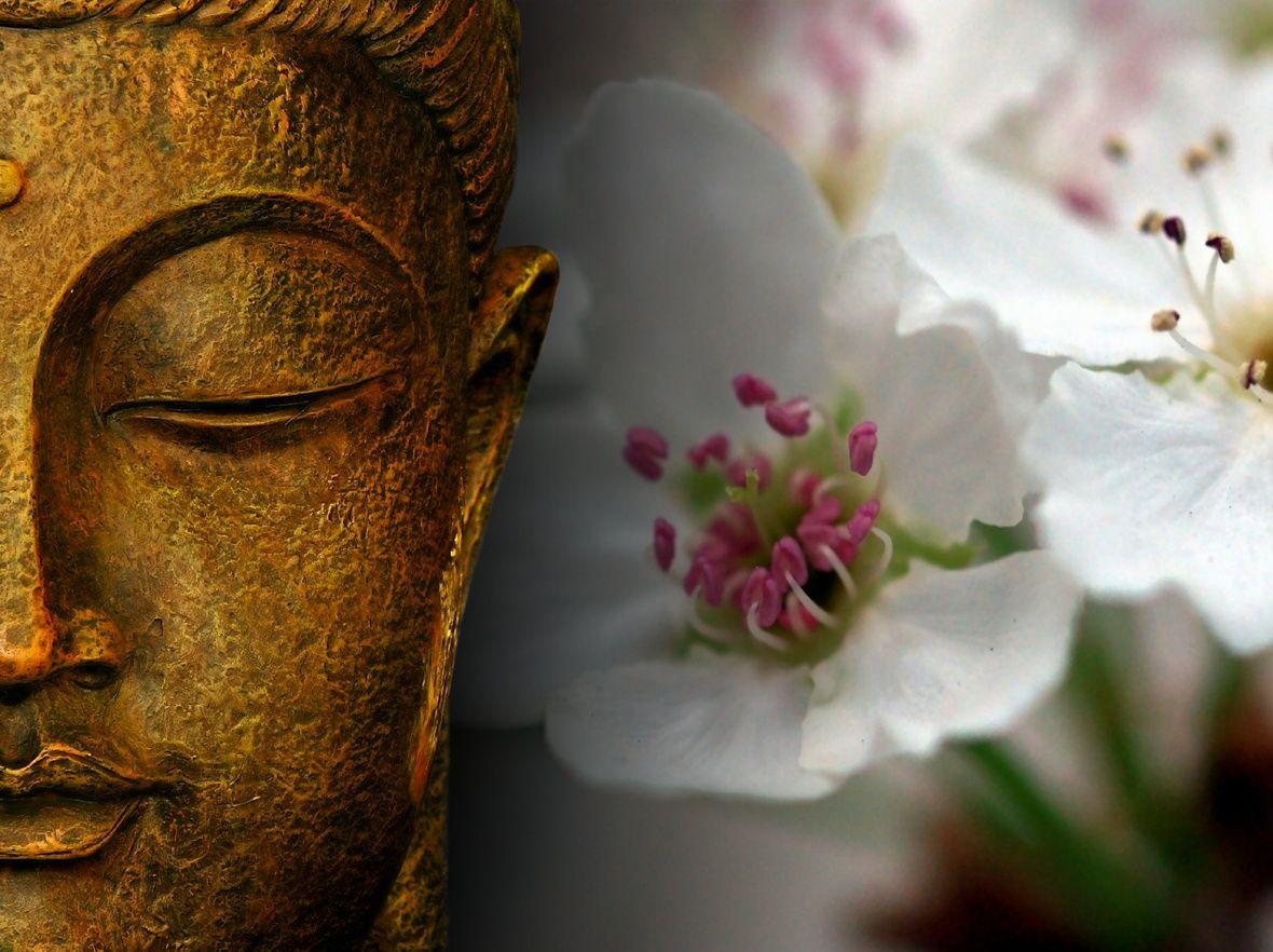 1180x882 Photos Of Buddha. Sathya Sai Baba, Love & Spirituality
