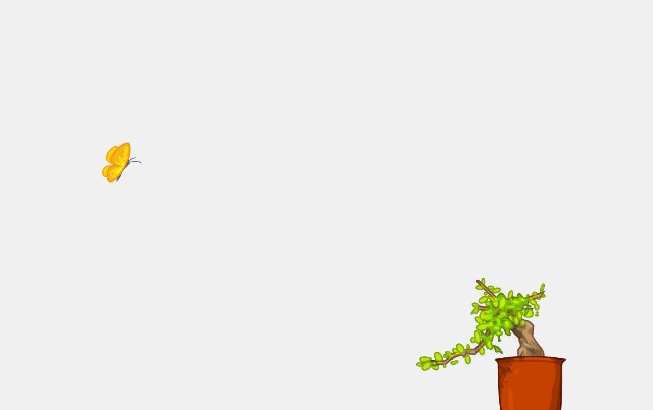 1280x804 Butterfly and bonsai wallpaper. Butterfly and bonsai