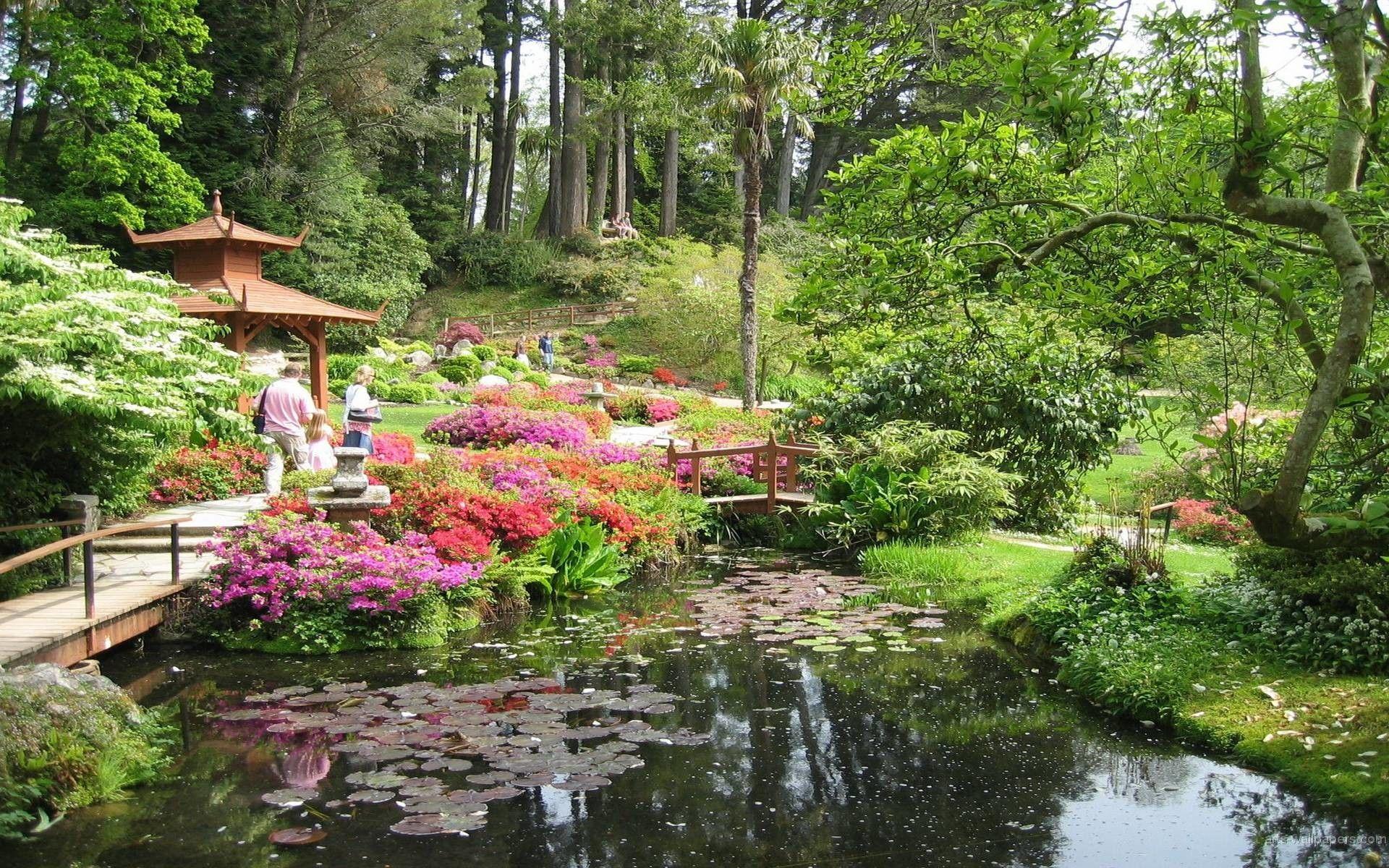 1920x1200 Japanese Zen Garden Wallpaper