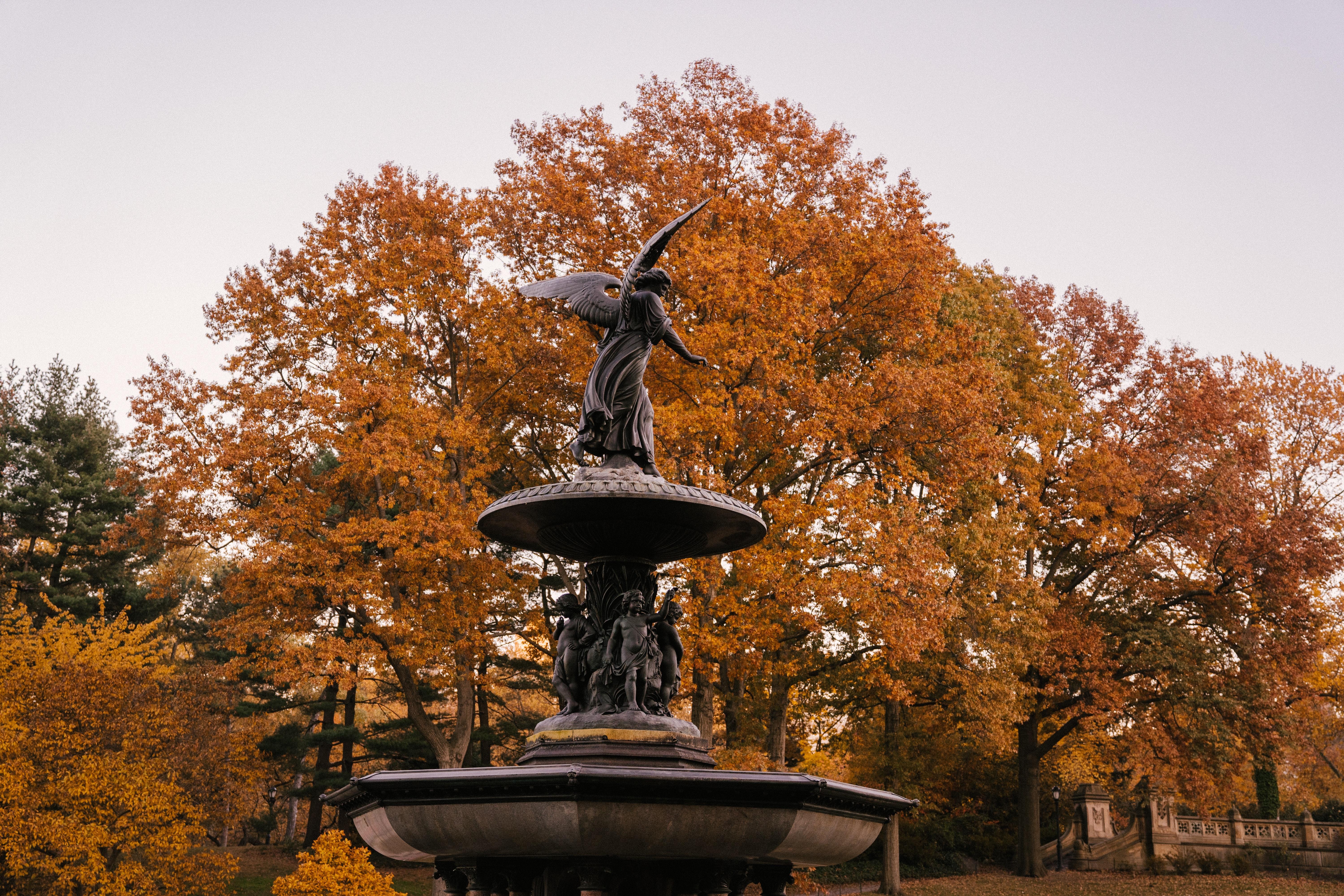 6000x4000 Bethesda Fountain Photo, Download Free Bethesda Fountain & HD Image