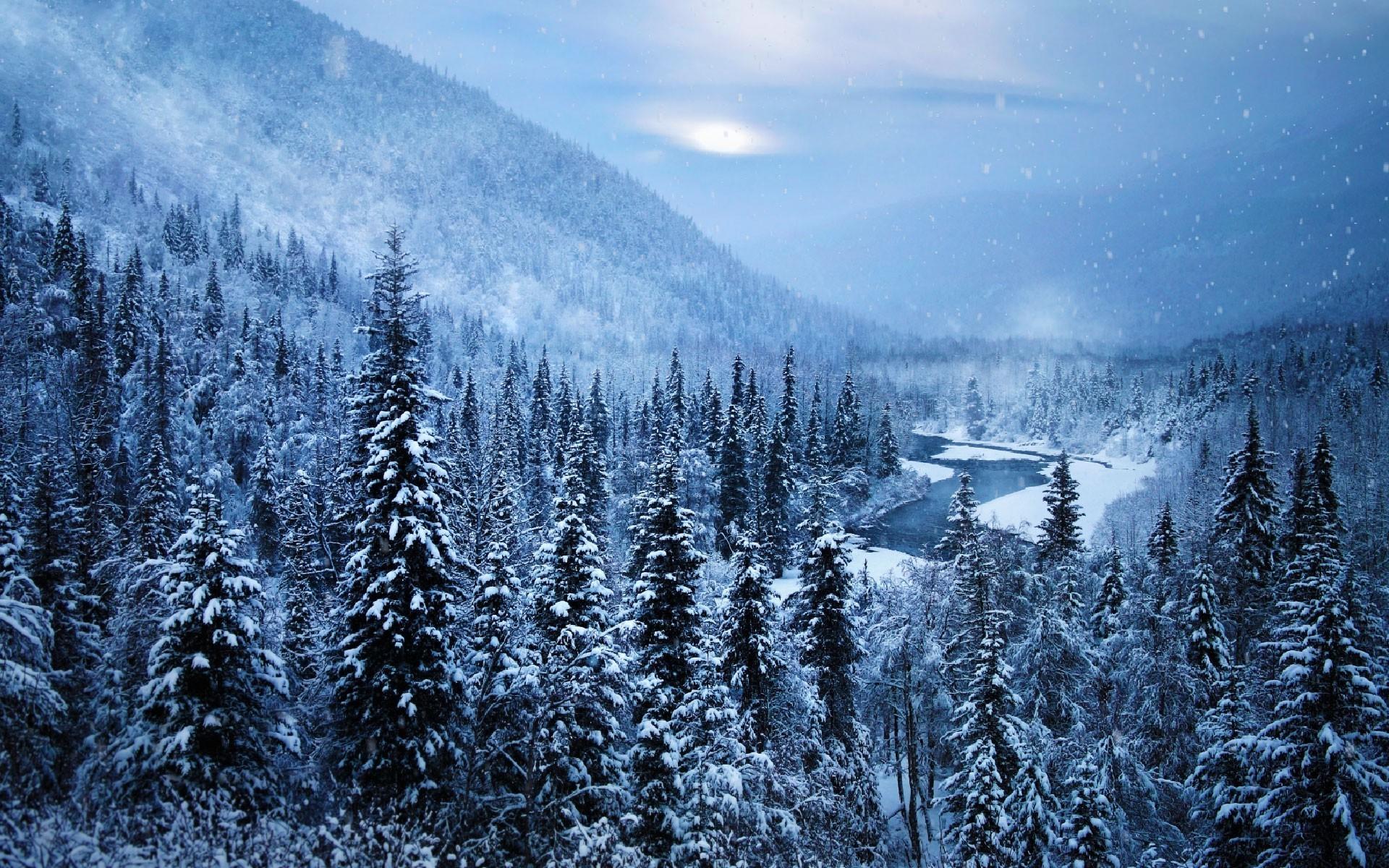 1920x1200 landscape alaska snow nature mountain forest winter river trees white cold Gallery HD Wallpaper