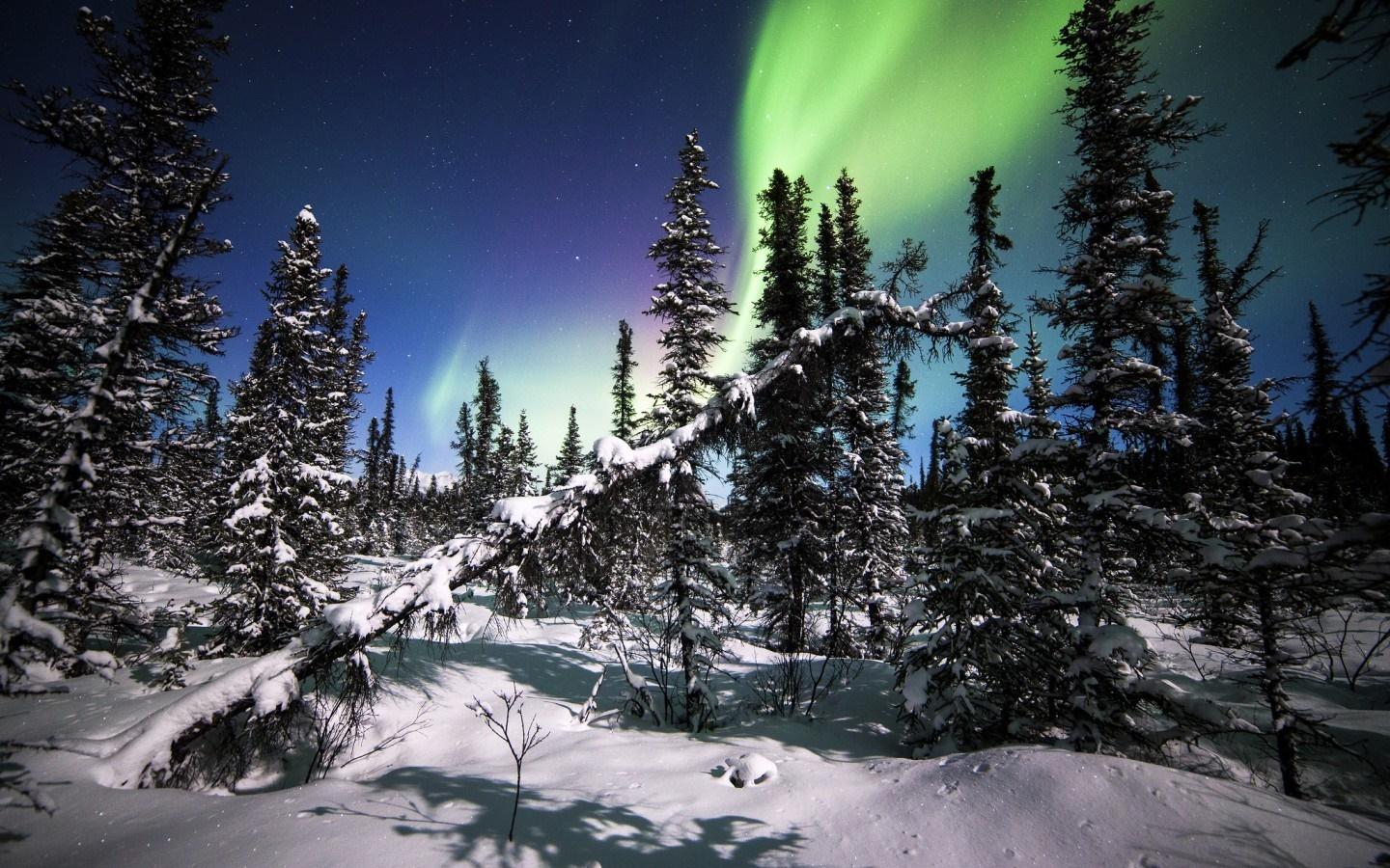 1440x900 Full HD alaska wallpaper