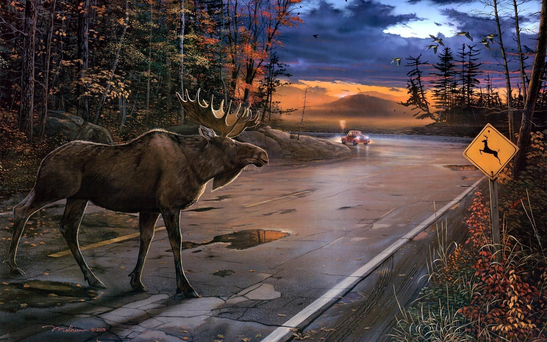 1920x1200 Download Alaska wallpaper for mobile phone, free Alaska HD picture