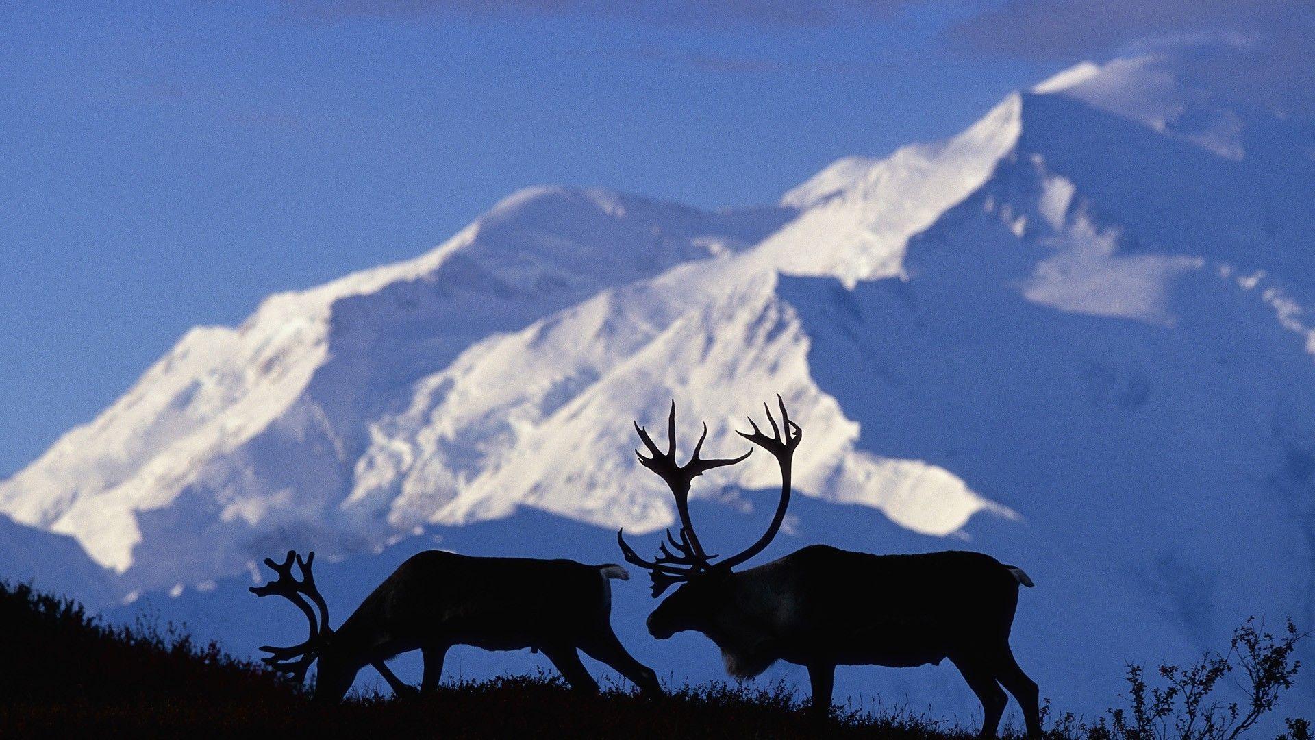 1920x1080 Alaska Background