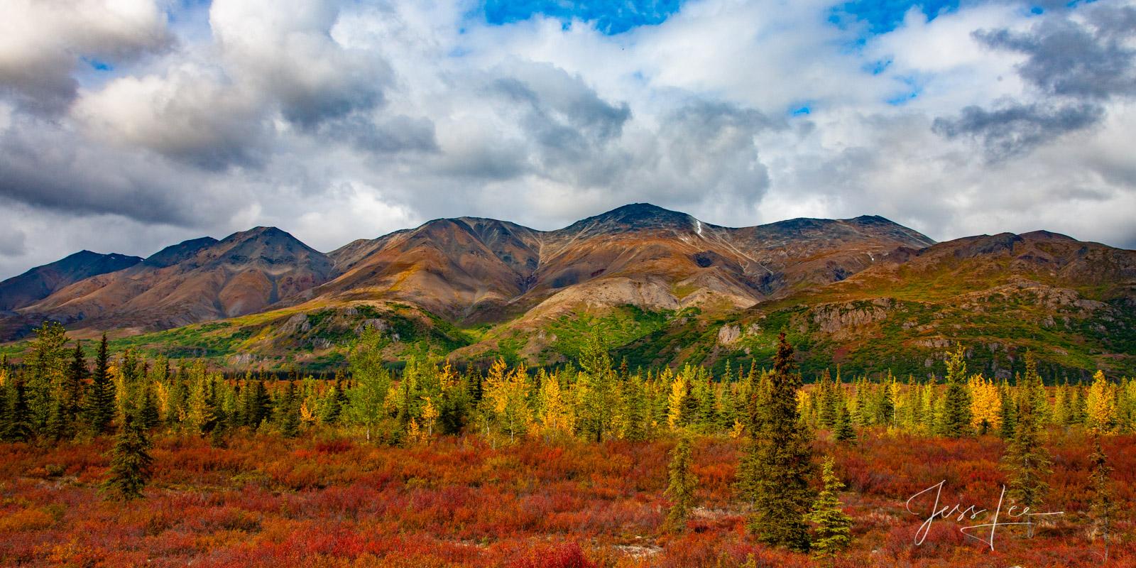 1600x800 Alaska Photo. Landscape and Wildlife Photography Picture. Photo