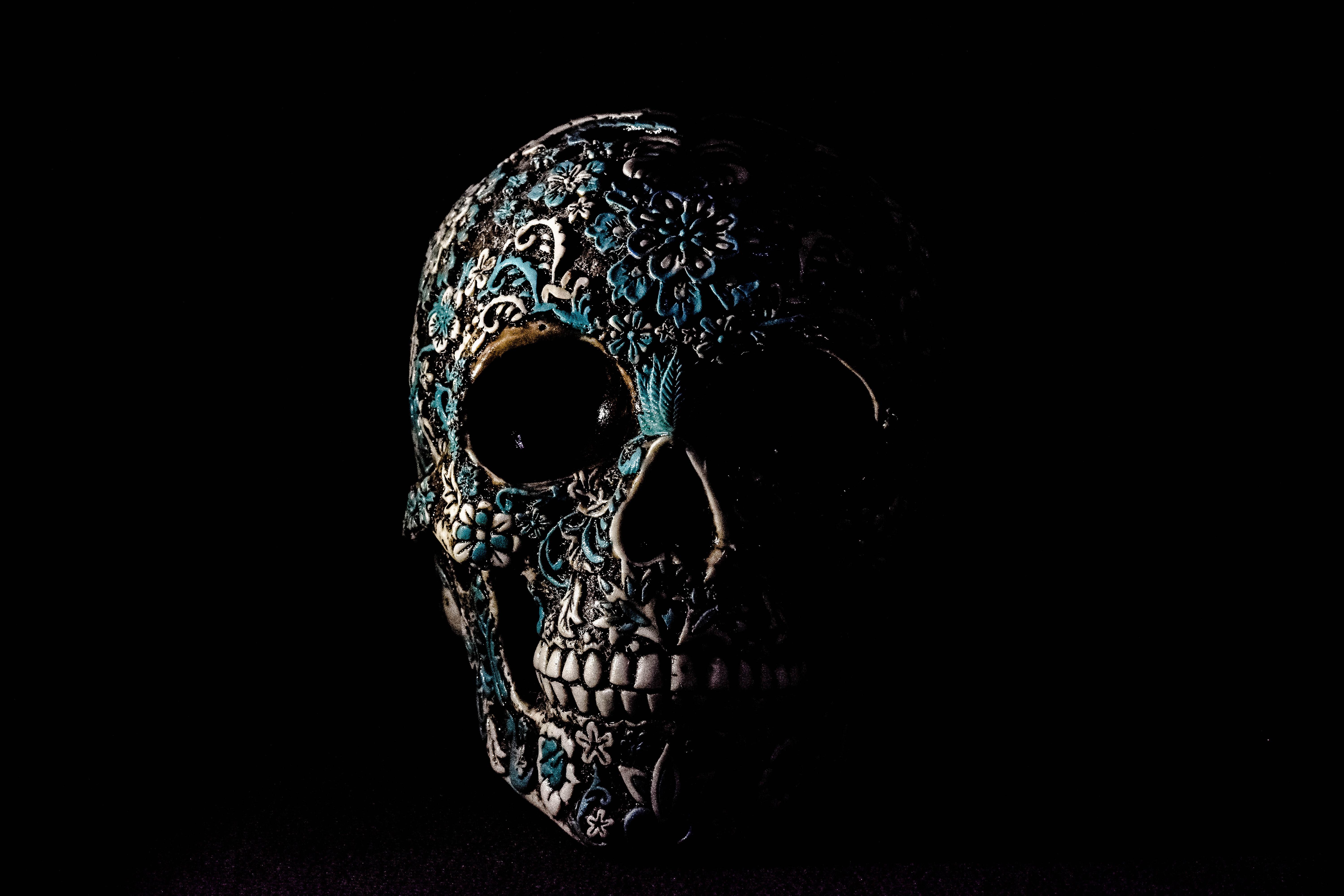 6000x4000 Download Skull wallpaper for mobile phone, free Skull HD picture