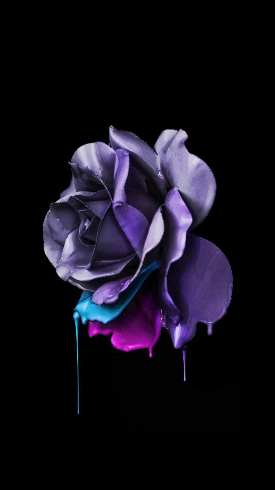 Rose iPhone HD Wallpapers - Top Free Rose iPhone HD Backgrounds