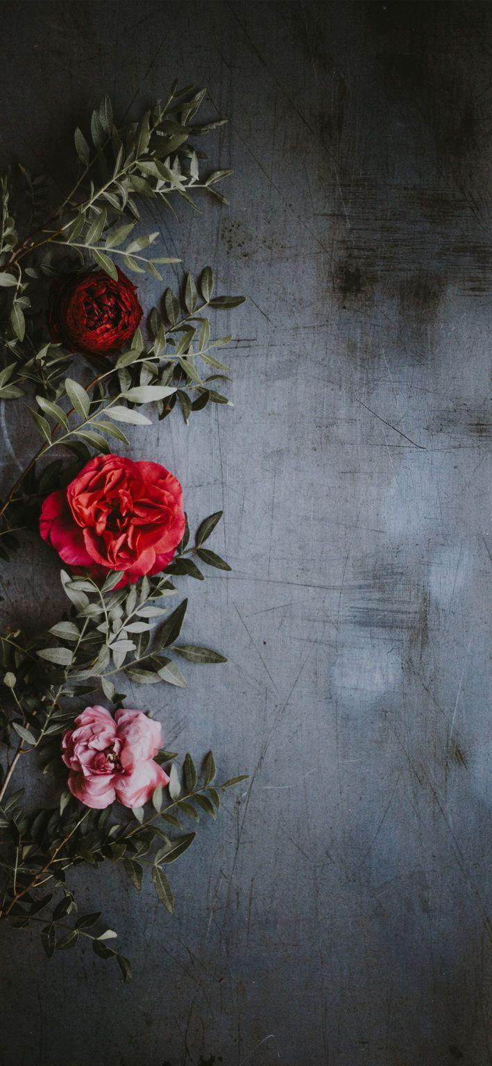709x1536 Beautiful Rose iPhone Wallpaper (HD Quality). Floral wallpaper iphone, Flowery wallpaper, Floral wallpaper