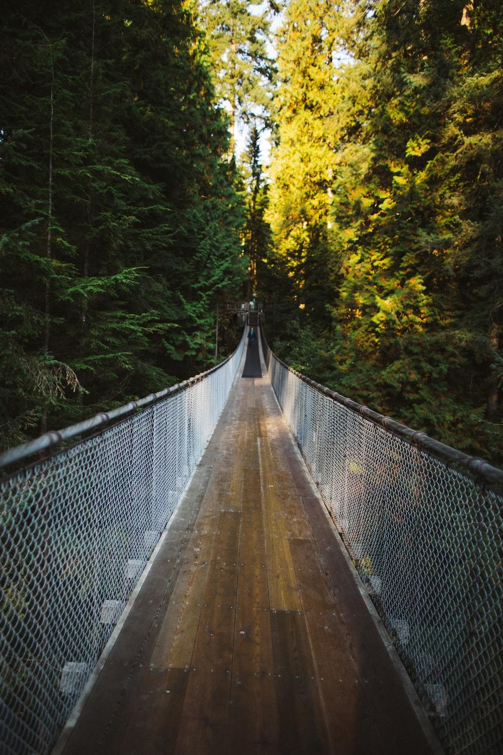 Capilano Suspension Bridge Wallpapers Top Free Capilano Suspension Bridge Backgrounds