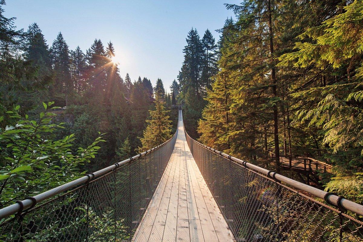 1200x800 Capilano Suspension Bridge Park (North Vancouver) You Need to Know BEFORE You Go
