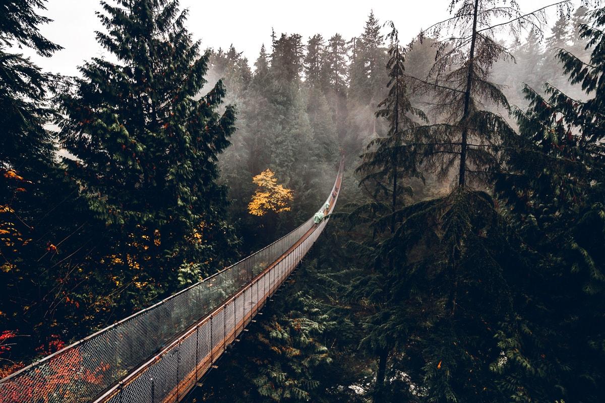 1200x800 Capilano Suspension Bridge Park Vancouver // A Visitor's Guide