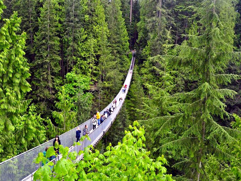 1024x768 Capilano Suspension Bridge. Series 'Most dangerous bridges'